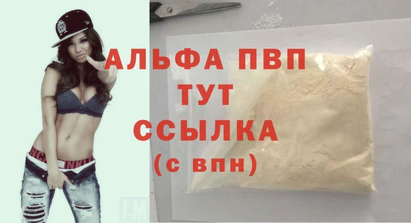 apvp Алзамай