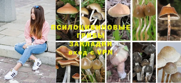 мескалин Алексеевка