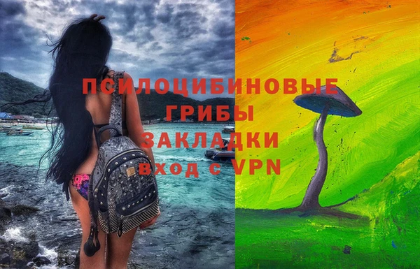 apvp Алзамай