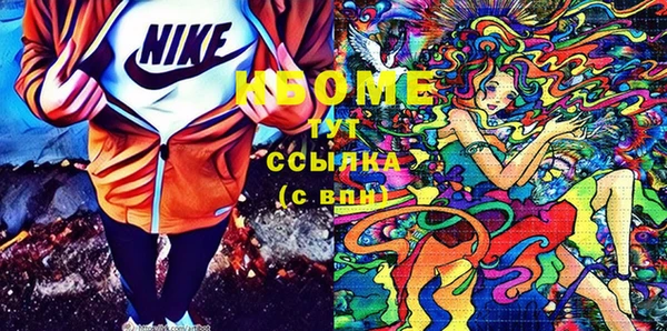 apvp Алзамай