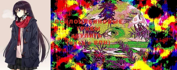 таблы Алексин