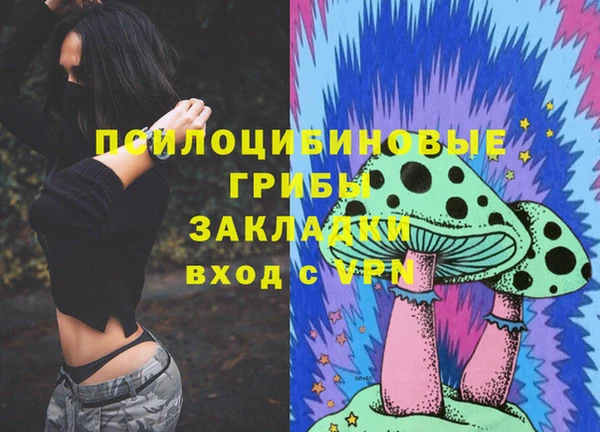 таблы Алексин