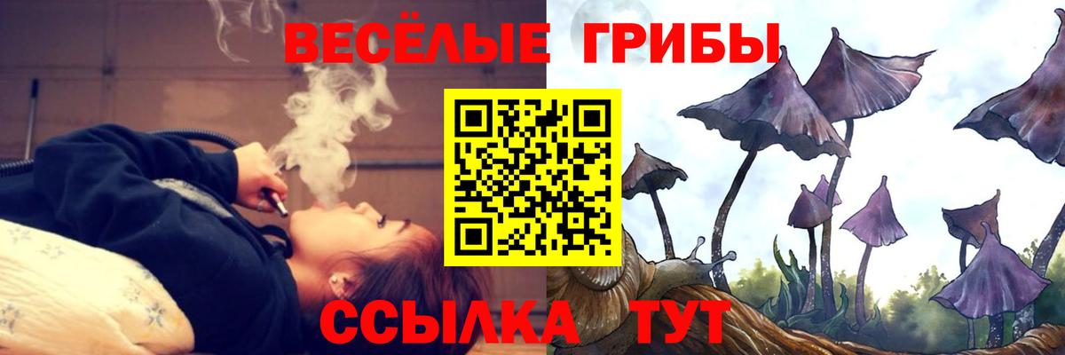 Псилоцибиновые грибы GOLDEN TEACHER  Галлюциногенные грибы ЛСД  Вход с VPN  Лесосибирск 